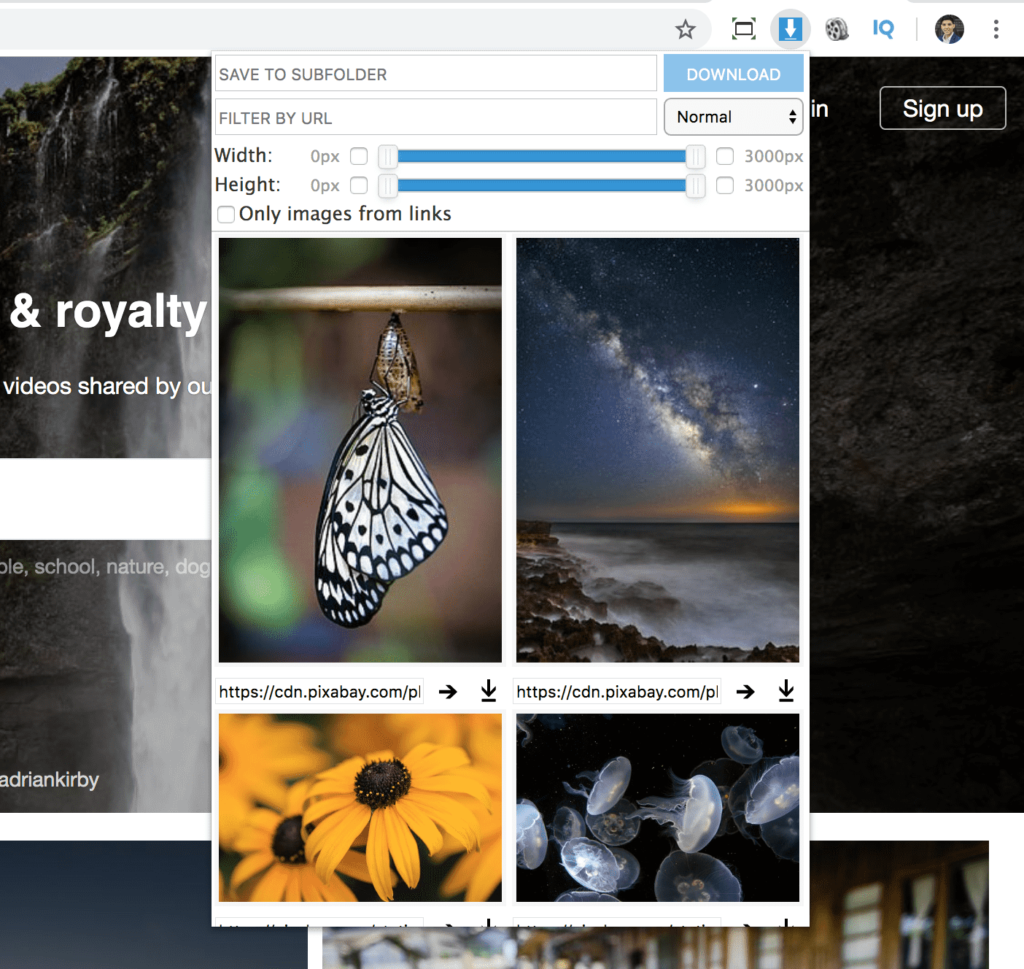 download all the images from a website at once